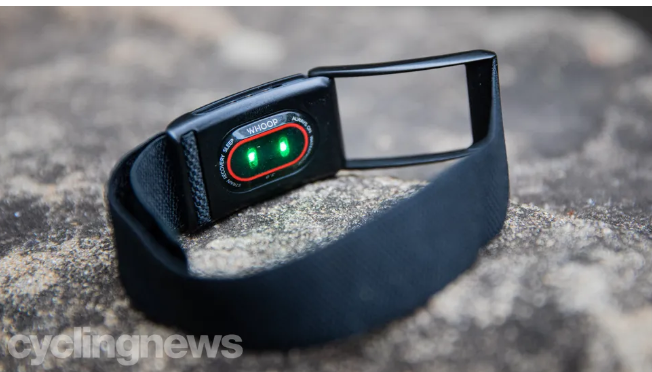 Reliability of Wrist Heart Rate Monitors – BionicOldGuy
